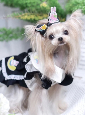 豌豆铺Peas box |可爱兔子兔耳蝴蝶结约克夏马尔济斯西施头饰