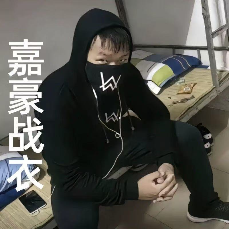 艾伦沃克嘉豪同款卫衣