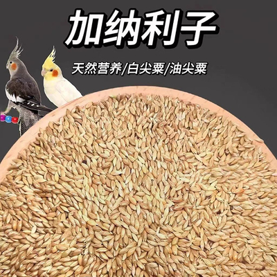 加纳利子鹦鹉鸟食油尖粟白尖金丝雀芙蓉黄雀牡丹虎皮玄凤鸟粮