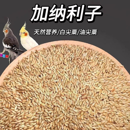 加纳利子鹦鹉鸟食油尖粟白尖金丝雀芙蓉黄雀牡丹虎皮玄凤鸟粮