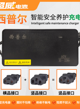 西普尔电动车充电器72V20AH60V48伏爱玛电瓶车二轮车超威电池通用