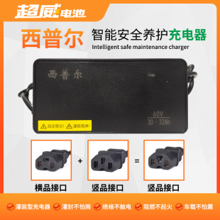 西普尔电动车充电器72V20AH60V48伏爱玛电瓶车二轮车超威电池通用