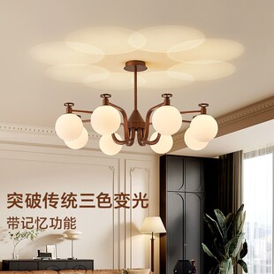 vintage中古魔豆燈設計師新款 臥室餐廳客廳主燈 復古吊燈美式 法式