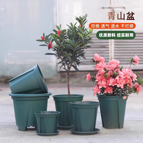 加厚控根青山盆塑料多肉花盆