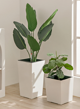 白色北欧风方形花盆自吸水大号懒人种植盆塑料树脂客厅储水花盆