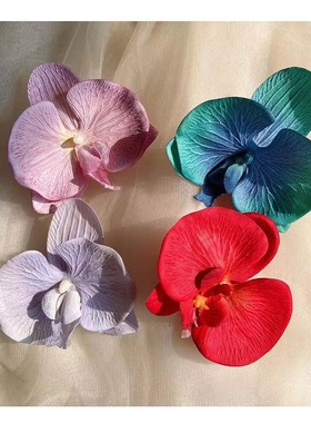 蝴蝶兰戒指花指环花写真拍照手花