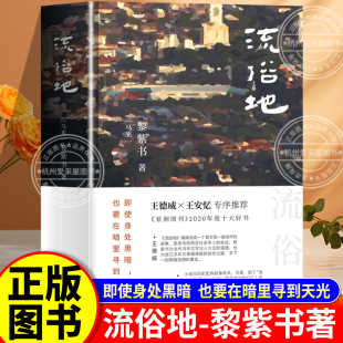 中文小说 马来西亚华人文学作品 流俗地 书籍 官方正版 华语 人性 长篇小说 黎紫书 新经典