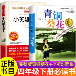 青铜葵花和小英雄雨来管桦正版曹文轩完整版四年级下册必读小学生阅读课外书青桐和与葵花人民教育大字的书籍含芦花鞋书少儿出版社