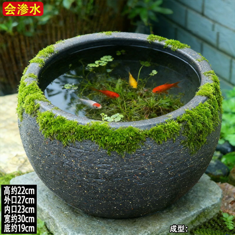 无孔微景观吸水缸大号陶土苔藓缸大口径水培无釉陶缸鱼缸渗水花盆