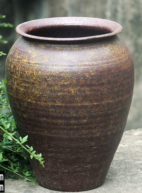 水培植物高款盆龙柳民宿超大复古