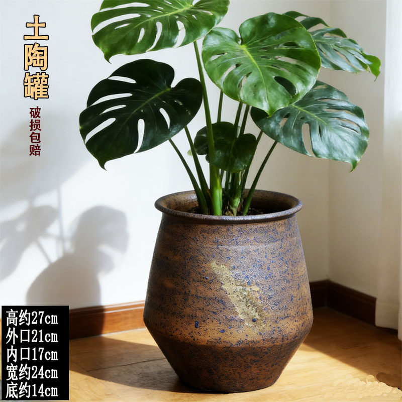复古龟背竹三角梅透气陶花盆图片