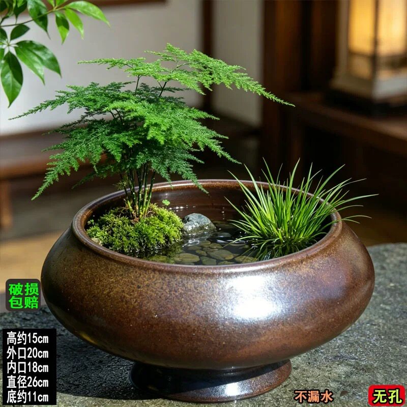 大口径水养蕨类植物陶瓷花盆水培铜钱草绿萝复古花盆无孔摆件花盆