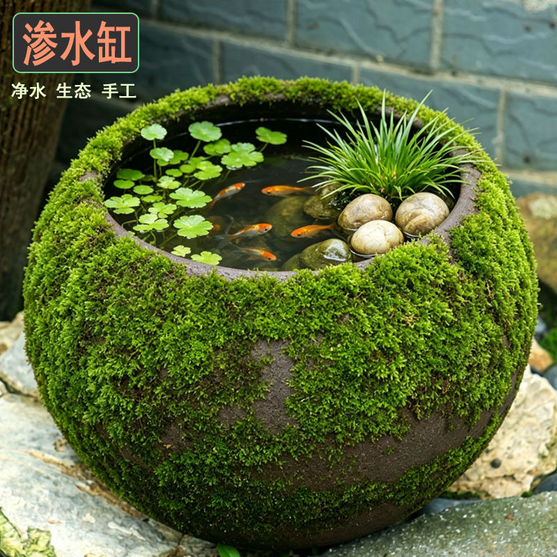 无孔微景观吸水缸大号陶土苔藓缸大口径水培无釉陶缸鱼缸渗水花盆