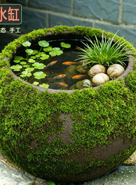 无孔微景观大口径陶吸水缸