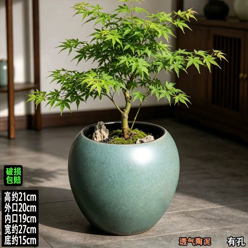 天堂鸟陶瓷花盆大号粗陶罐月季龙血树花盆陶土肉肉花盆三角梅陶盆