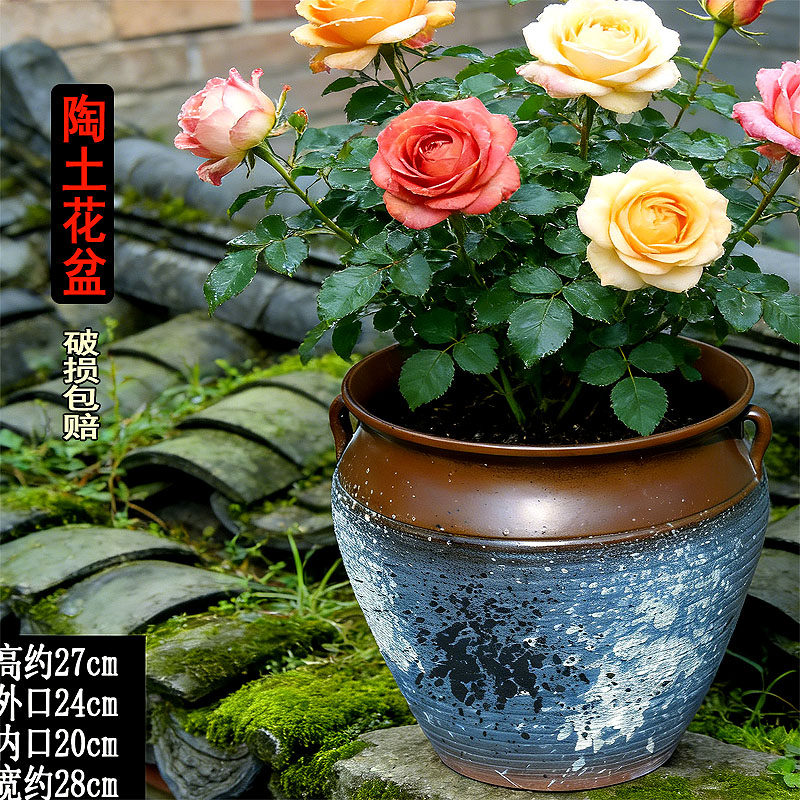 大口径透气陶土花盆月季栀子花