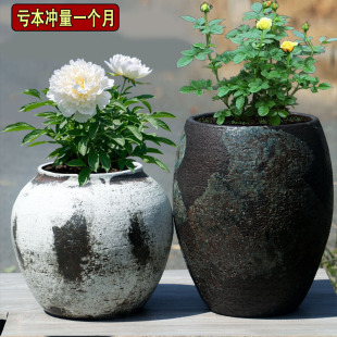 透气陶土花盆家用三角梅流泉枫陶罐蕨类植物陶盆老桩多肉盆大号盆