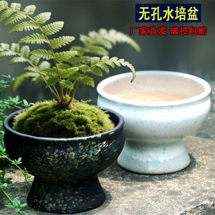 无孔水培陶瓷花盆蕨类龟背竹花盆无孔水养碗莲盆大口径铜钱草花盆