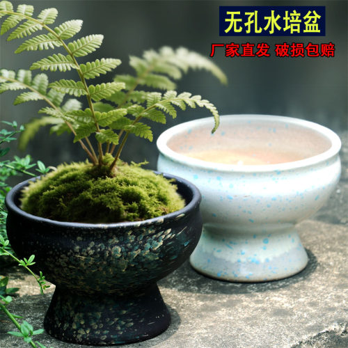 无孔水培陶瓷花盆蕨类龟背竹花盆无孔水养碗莲盆大口径铜钱草花盆