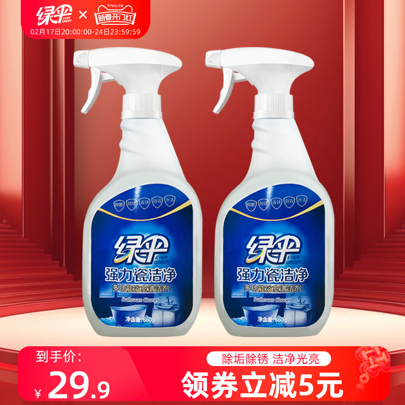 绿伞瓷砖清洁剂瓷洁净660g*2瓶强力去污浴室地板砖多功能清洗剂