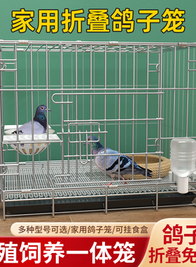 鸽子笼子家用养鸽专用笼折叠鸽笼鸽舍鸽子窝可配对大号繁殖鸽子笼