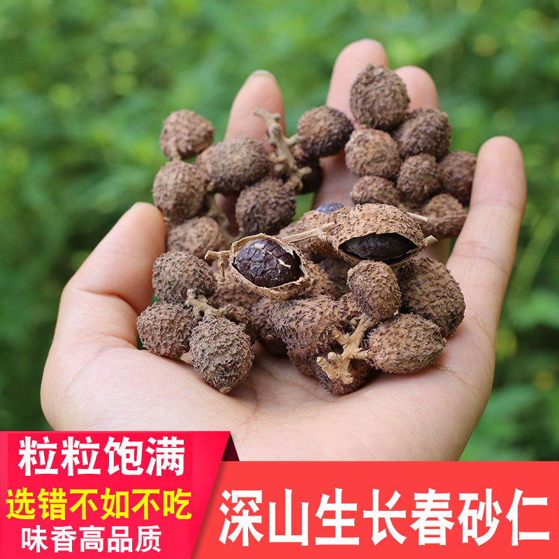 春砂仁正品药材农家自晒干货阳春砂整颗煲汤煮水泡水泡酒材料正宗