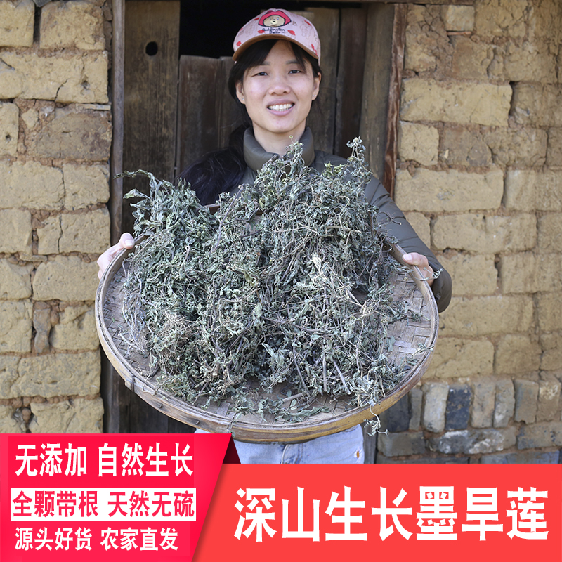 深山无硫农家带根旱莲草墨旱草