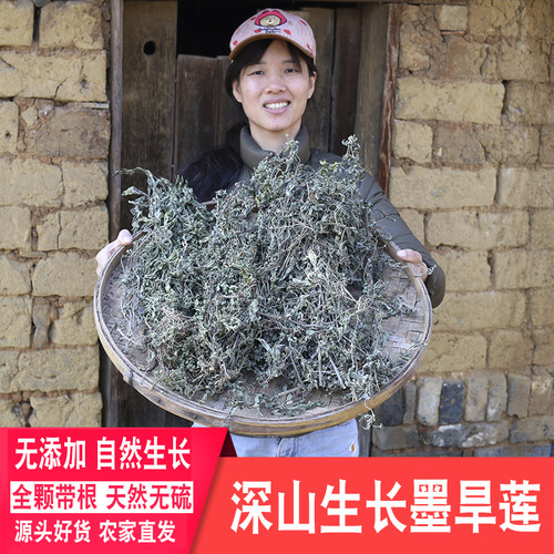 深山无硫农家带根旱莲草墨旱草
