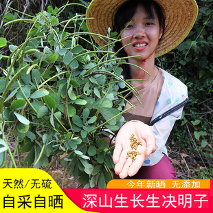 深山决明子无硫药材农家晒夜关门泡茶喝原料另售菊花枸杞子草药材