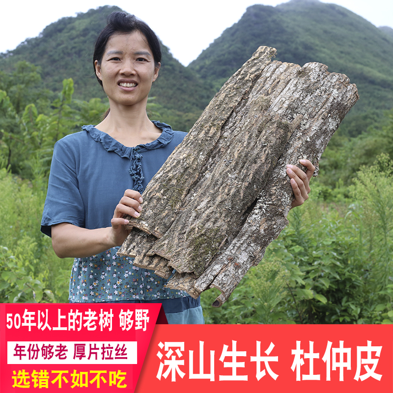 杜仲皮药材深山无硫广东农家自晒煲汤料泡酒新货配雄花珈玛牡蛎肽