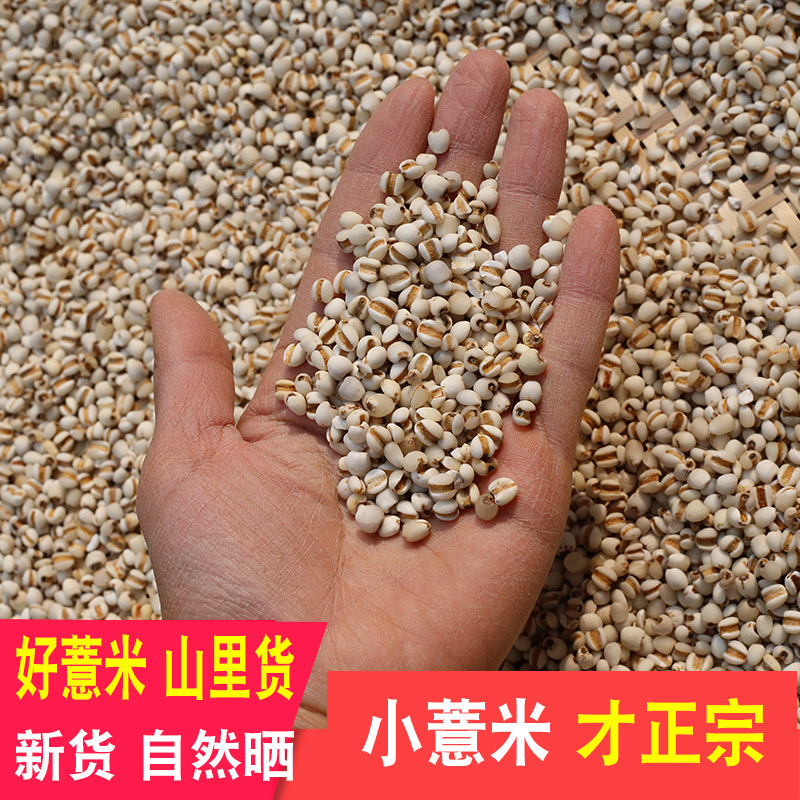 薏米正品药材小粒薏仁散装农家晒五谷杂粮粗粮新货莲子土茯苓新货
