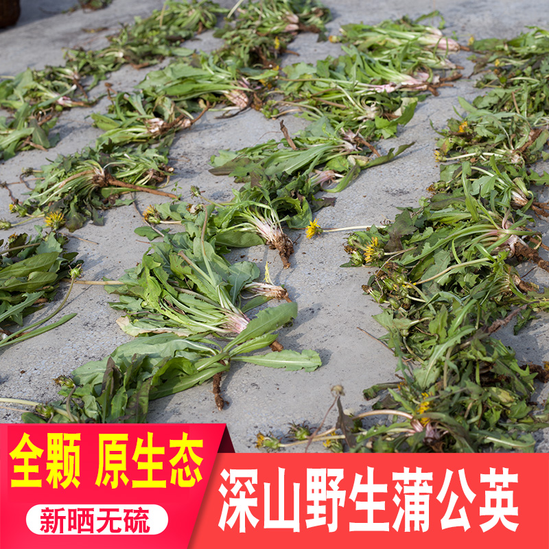 蒲公英干货500g农家深山新鲜无硫蒲公英根茶药材花草茶婆婆丁新货