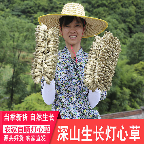 煲汤料广东灯心草汤料儿童炖汤