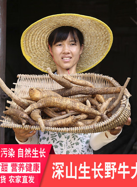 深山牛大力薯广东煲汤料金钟根农家新鲜现挖山莲藕泡酒煲汤草药材