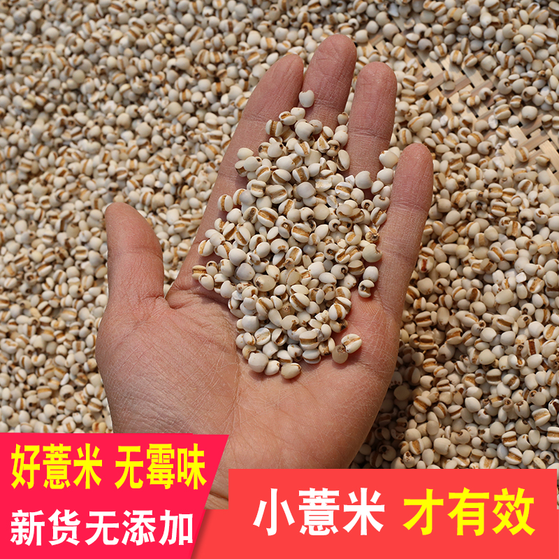 薏米农家无硫药材小粒粗粮正宗