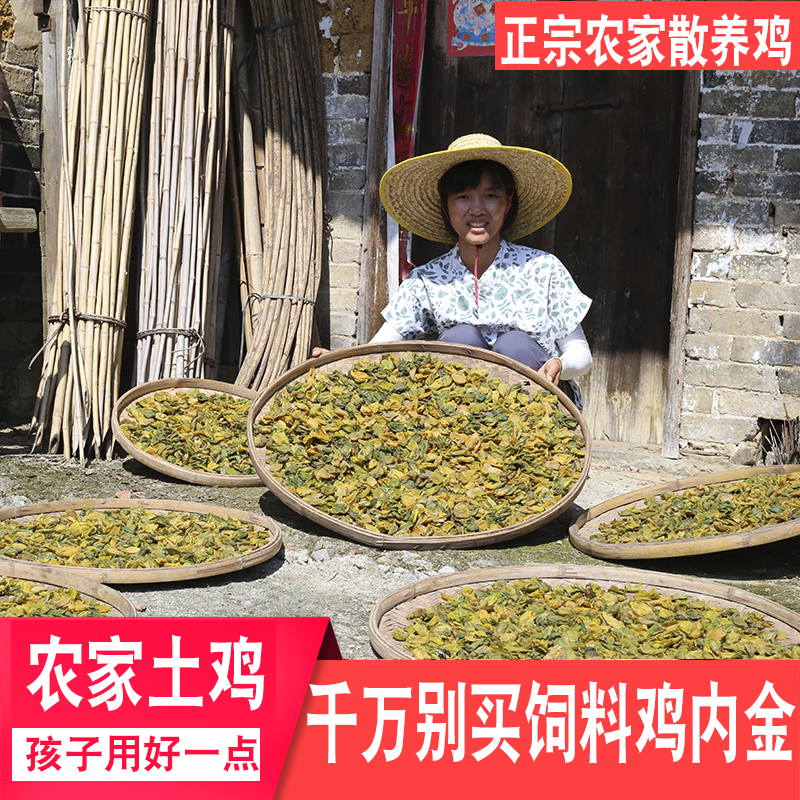 農家土雞散養吃雜糧農家雞內金