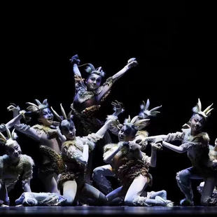 小荷风采斑羚飞渡舞蹈表演服儿童元旦森林精羚舞蹈服藏羚羊演出服