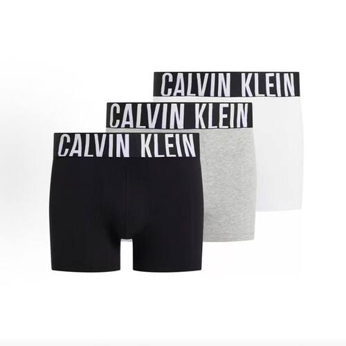 CALVIN KLEIN TRUNK 3PK简约平角短裤男款 3条装000NB3608A-MPI