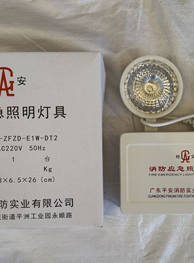 平安/桂安消防应急灯 PA-ZFZD-E2W-DT1消防应急照明灯 LED双头灯