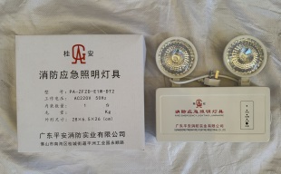 平安/桂安消防应急灯 PA-ZFZD-E2W-DT1消防应急照明灯 LED双头灯