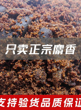 正宗麝香中药材1g克正品包邮非人工合成麝香粉麝香酒麝香仁当门子