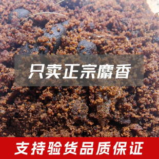 正宗麝香中药材1g克正品包邮非人工合成麝香粉麝香酒麝香仁当门子