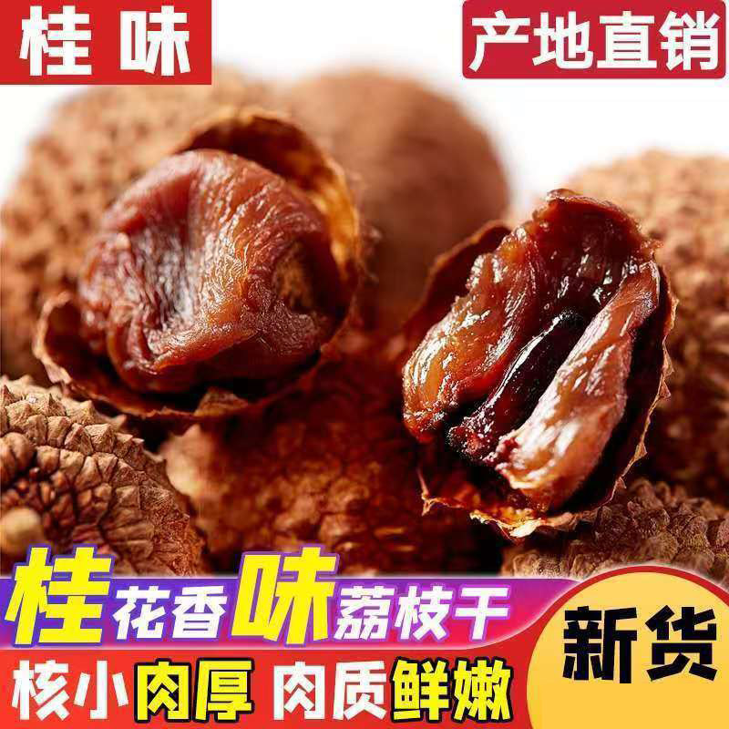 当季新货桂味荔枝干核小肉厚500g袋装带核糯米滋农家烘焙荔枝肉干