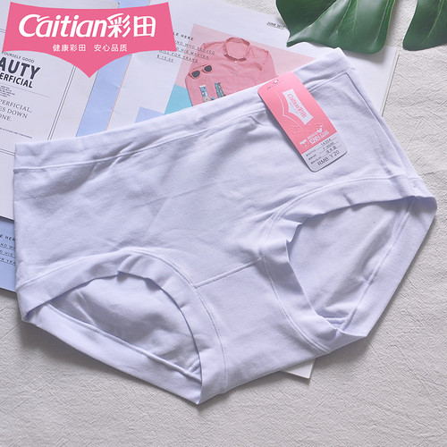 彩田女三角裤棉质透气棉内裆