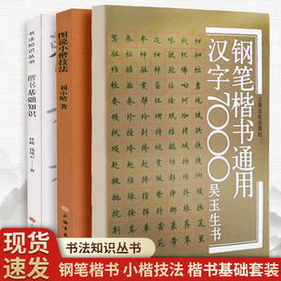 【3册】吴玉生楷书通用7000字+楷书基础知识+图说小楷技法 钢笔字帖欣赏书法零基础入门字贴书 硬笔书法自学教程 吴玉生行楷