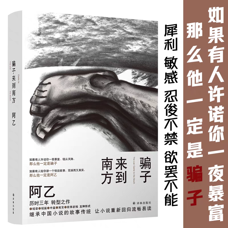 正版 骗子来到南方（一桩匪夷所思的诈骗案件，一局细思恐极的吃人阴谋，一次奋不顾身的爱情实验，阿乙 译林出版社