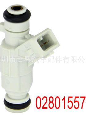 0280155795 0280155795适用于雪铁龙喷油嘴0280155795 0280155795