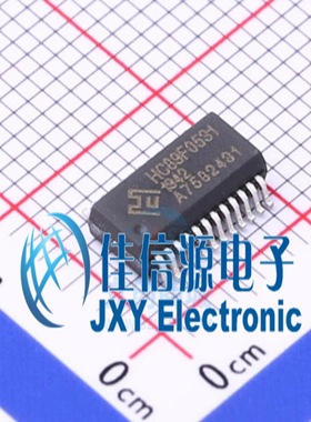 HC89F0531-SSOP24-T-M  holychip(芯圣电子) SSOP-24