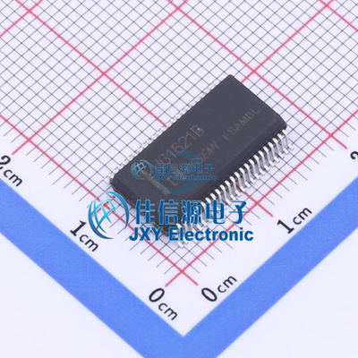 LCD驱动    HG1621BM/TR  HGSEMI(华冠)  SSOP-48