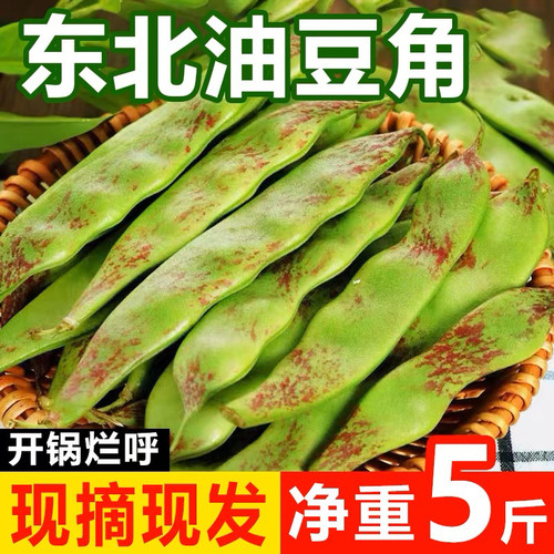 东北特产油豆角新鲜蔬菜现摘现发一点红豆角面豆角整箱5斤包邮